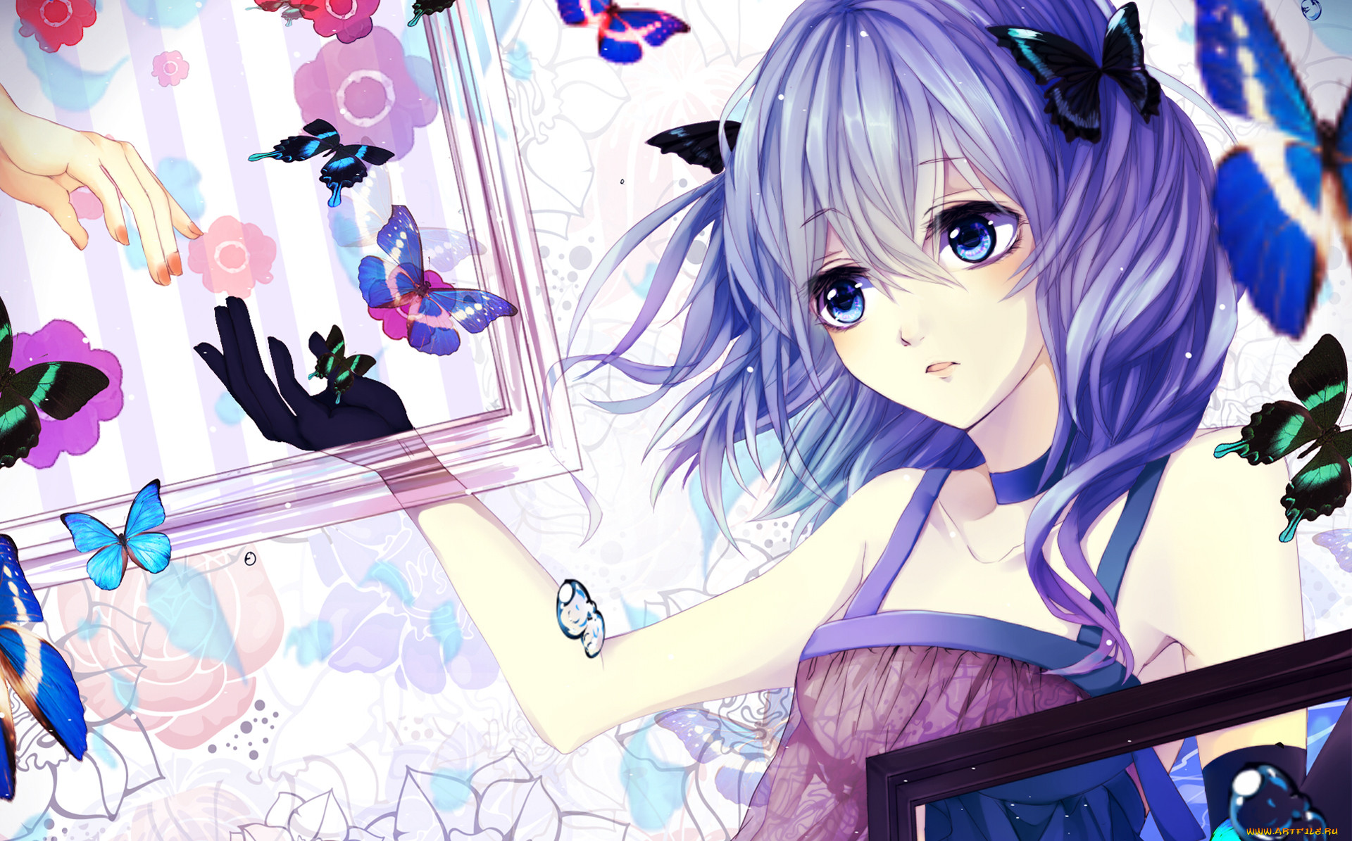 , unknown,  , , , , 